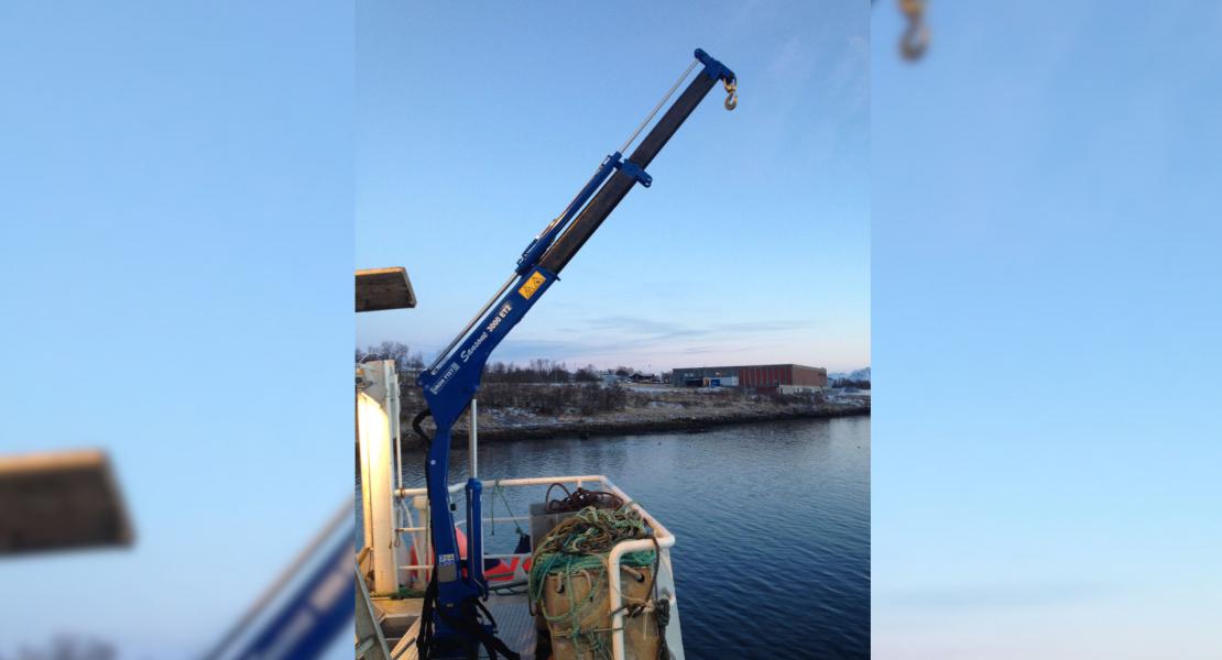 mini telescopic boom cranes